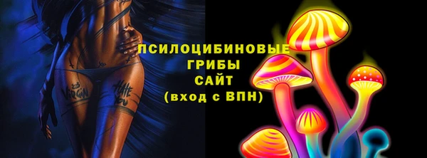 apvp Нея
