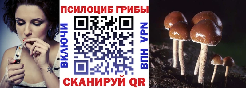 Псилоцибиновые грибы Magic Shrooms  купить наркоту  Ступино 