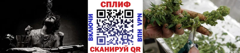 Каннабис гибрид  Ступино 